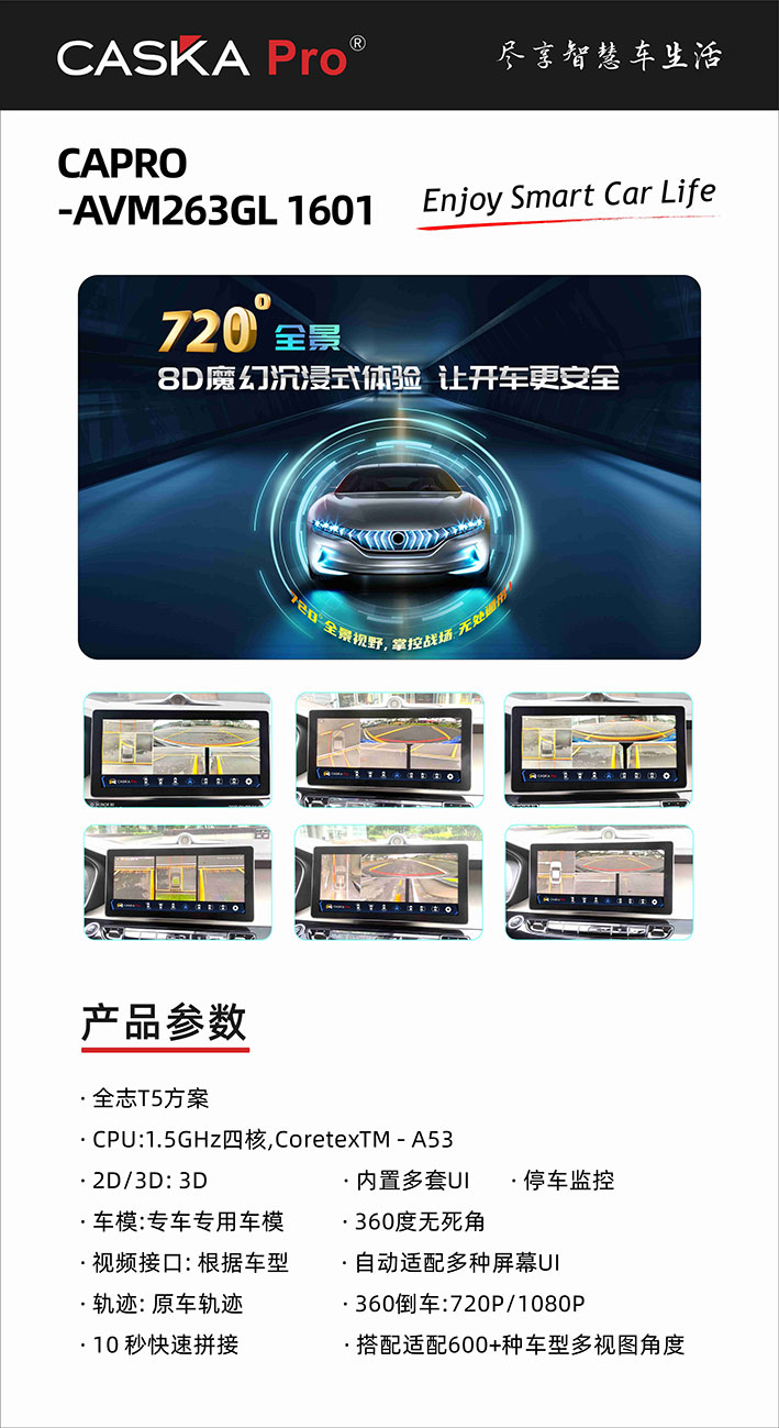 CAPRO-AVM263GL-1601功能点.jpg
