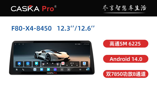 CASKA-PRO-F80-X4-12.3  12.6