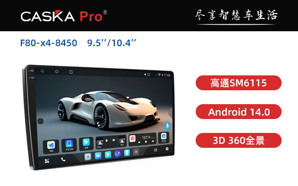 F80-x4-8450   9.5 10.4