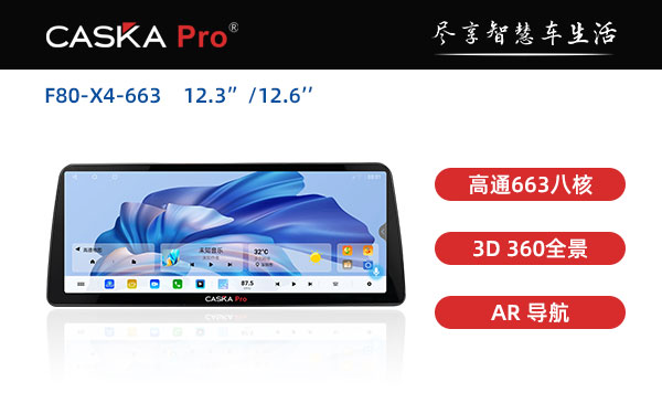 F80-X4-663 12.3 12.6